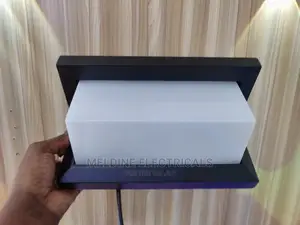 Wall Mounted Light