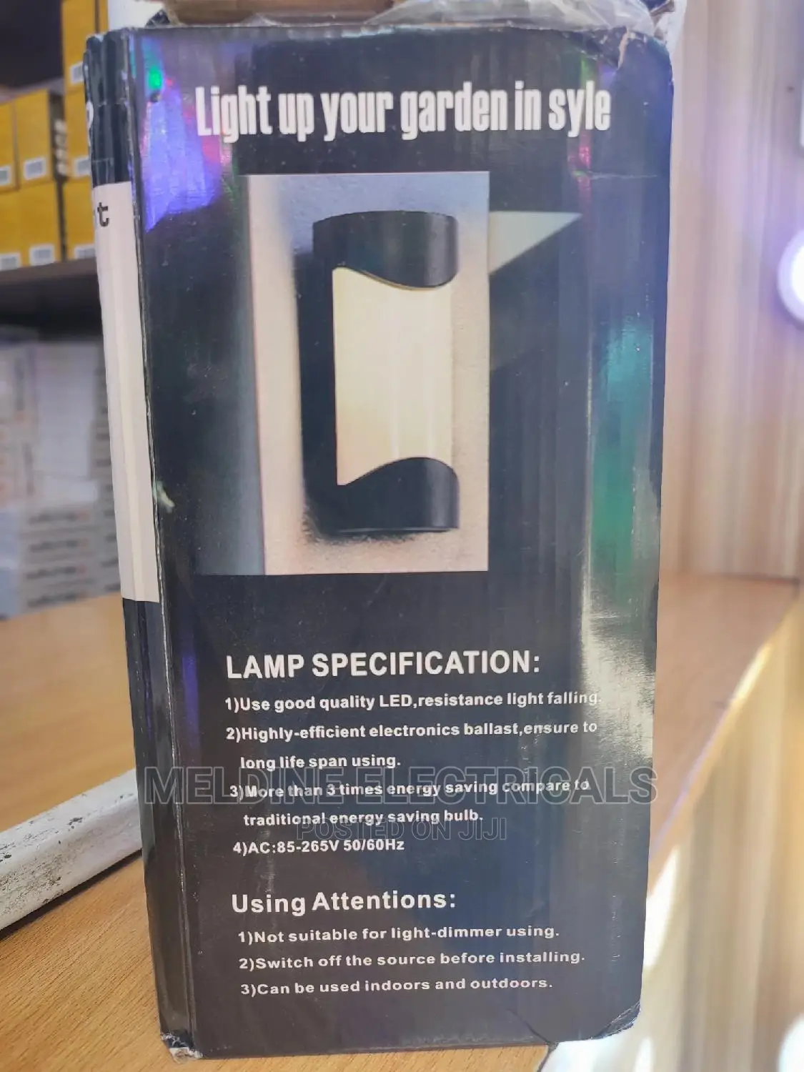 Wall Mounted Light