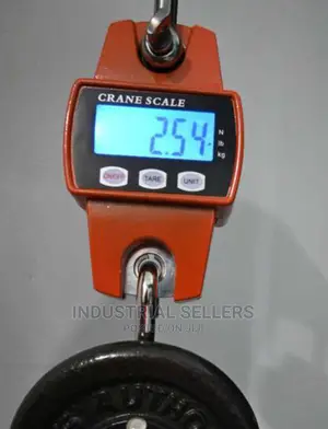 Hanging Scale 300kgs