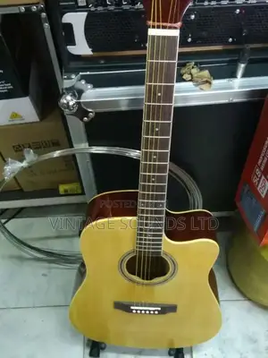 Semi Acoustic Guitar USA