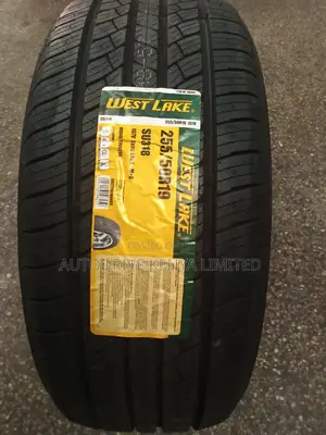 255/50r19 Westlake 107V