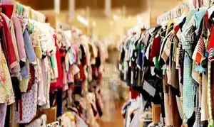 Best Software Options for Your Boutique or Clothing