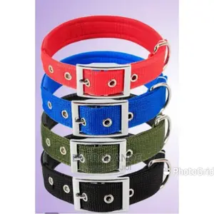 Dog Collar Available