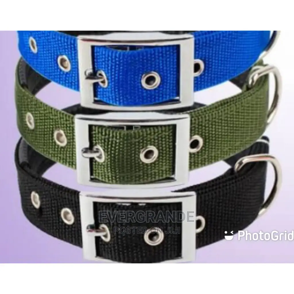 Durable Dog Collar