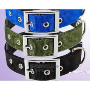 Durable Dog Collar