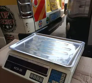 Computerized Digital Scale/Acs-30