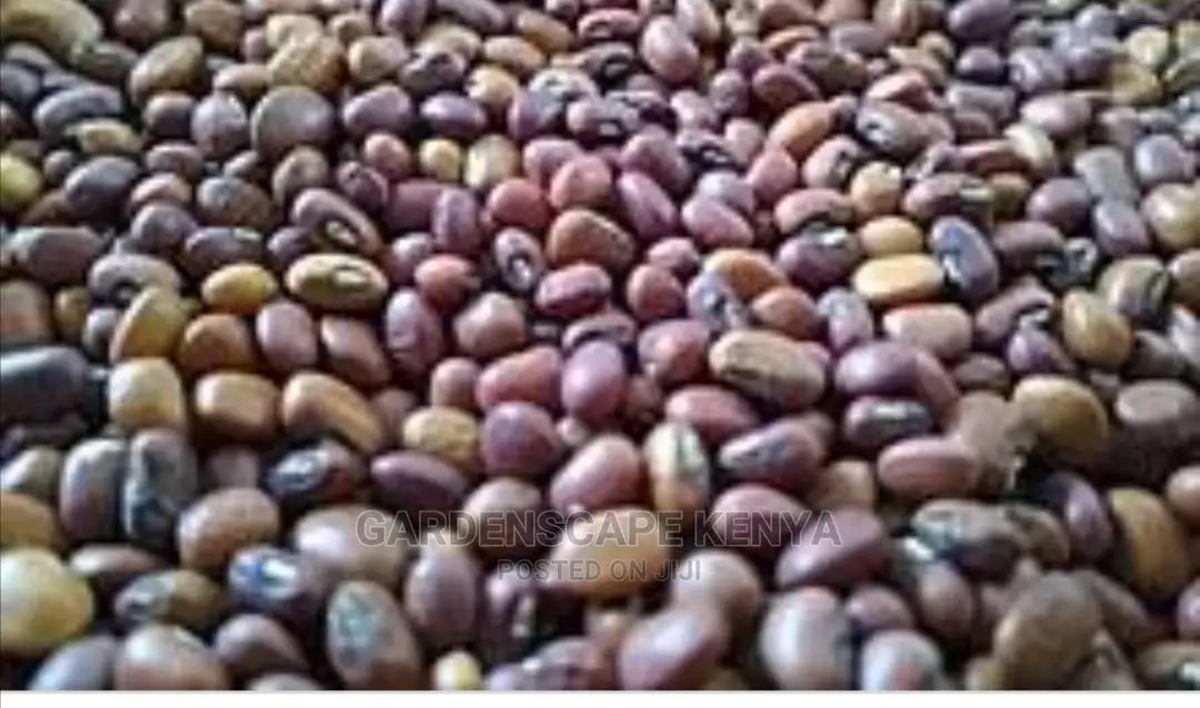Kunde Mboga-Cowpeas