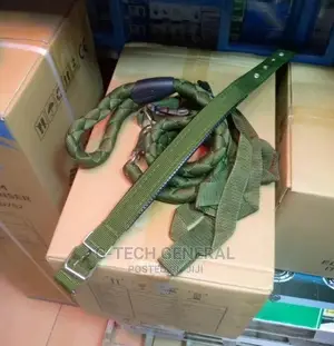 Green Dog Leash and a Color