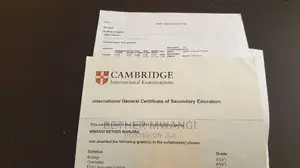 IGCSE Chemistry and Biology Private Tutor.