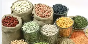 CEREAL SHOP POS With Lipa Na Mpesa Integration