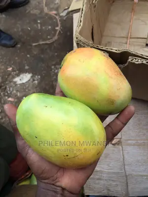 Fresh Ngowe Mangoes