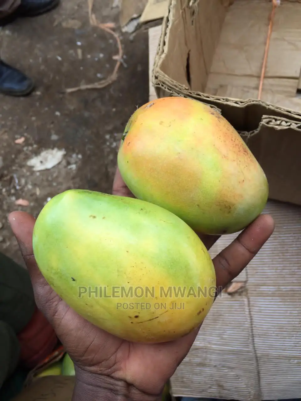 Fresh Ngowe Mangoes