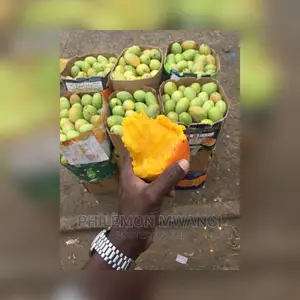 Fresh Ngowe Mangoes