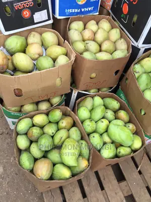 Fresh Ngowe Mangoes