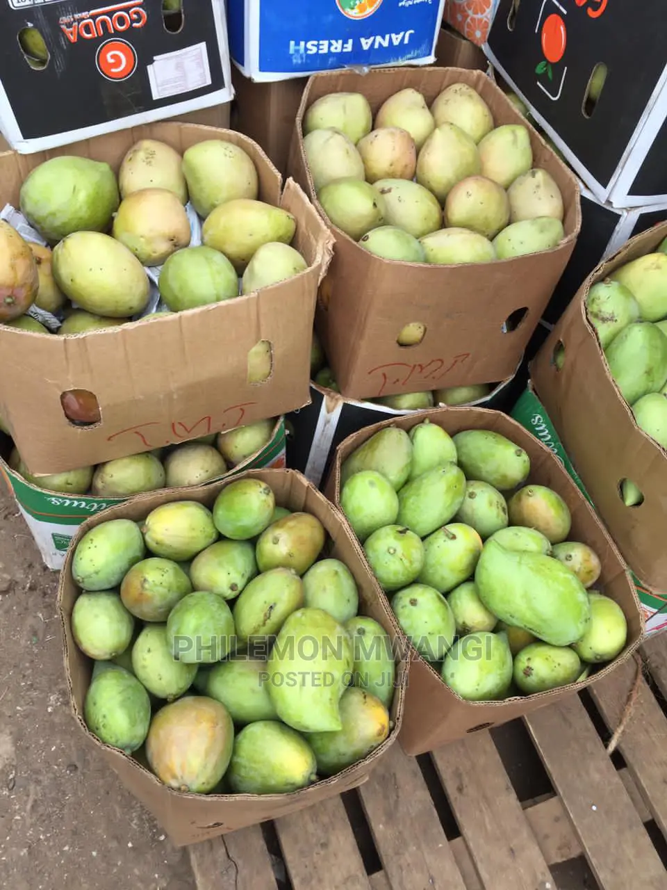 Fresh Ngowe Mangoes