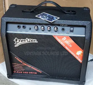 Deviser TG-25W 8-Inch Guitar Amplifier Combo