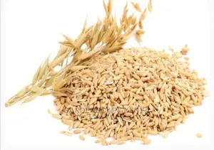 Oats Seeds Per Kg