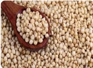 Gadam Sorghum Seeds Per Kg