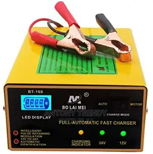 Car Battery Charger BLM 168 12v and 24v