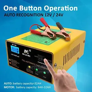 Intelligent Car Battery Charger 12v and 24volts