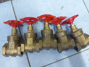 Peglar Original Gate Valve 1"