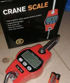 Buy Crane Scale 300kgs
