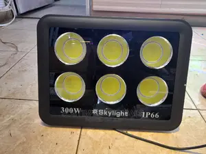 300w Led Security Light