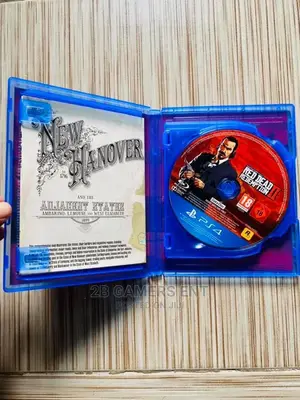 Red Dead Redemption 2 Used,