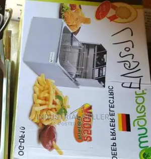 Useful Single Deep Fryer
