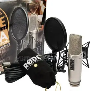 Rode Professional Condenser Microphone