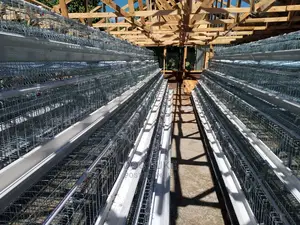 High Quality Battery Cage