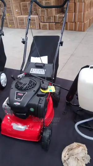 Briggs and Stratton Garden Lawn Mower
