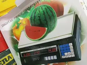 Computer Digital Price Scale