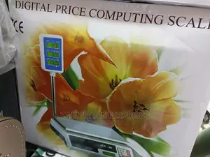 Digital Computering Scale
