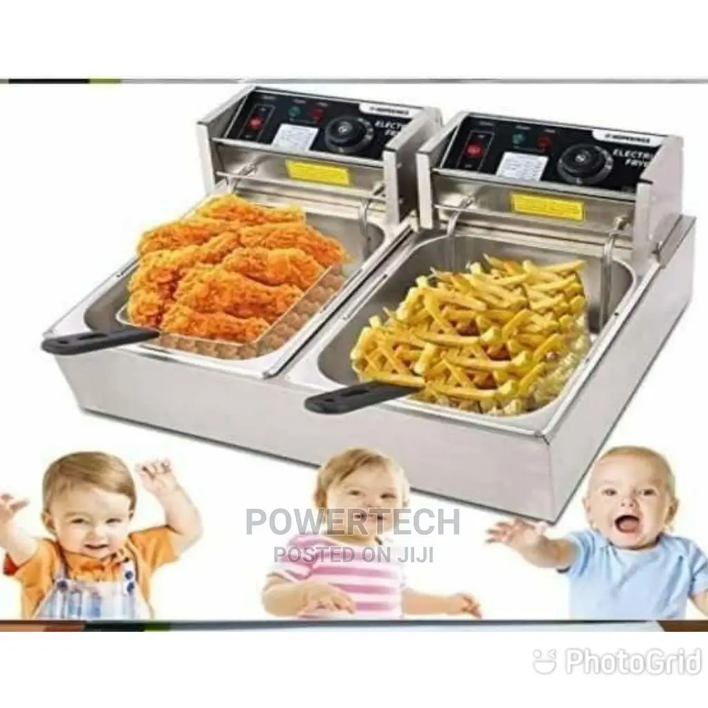 Brand New Double Deep Fryer