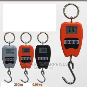 Generic Portable Scale