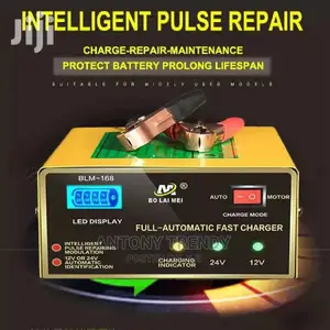 Car Battery Chargers