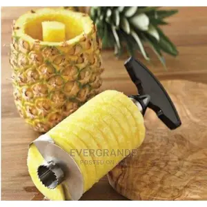 Pineapple Peeler Stainless
