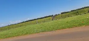 1 Acre Land Touching Highway Marura Kimumu in Eldoret