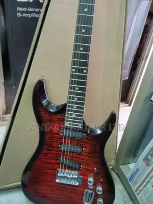 Roger Electric Guitar USA