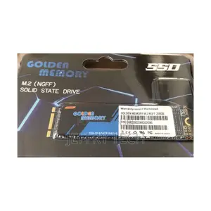 Golden Memory Solid State Drive M.2 (Ngff) 256gb