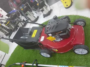 Lawn Mower (163cc, 5.5hp)Briggs and Stratton