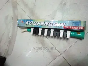 Melodica- 13 Keys