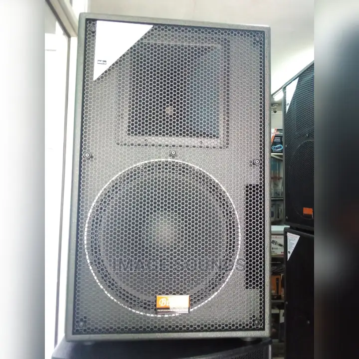 1200watts Mid-Range Speaker