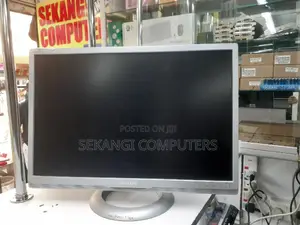 22" Wide Philips Monitors