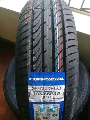 195/65r 15 Compasal Tyres Made in China