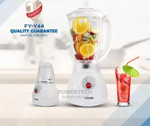 Alyons 2 in 1 Blender -Fy-Y44