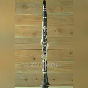 Clarinet- Brass Instruments