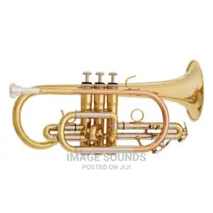 Cornet -Musical Instrument