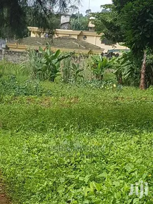 Half an Acre Land for Sale With Ready Title at Mimosa Drive